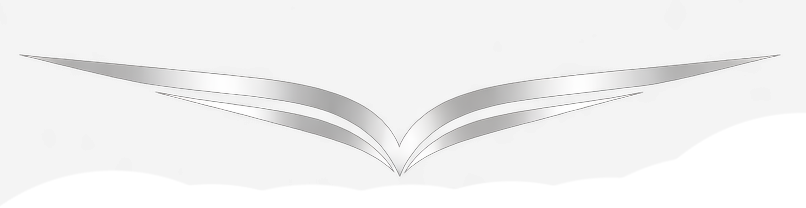 Chronos Silver Logo Alone 1 - Chronos Air Group Image